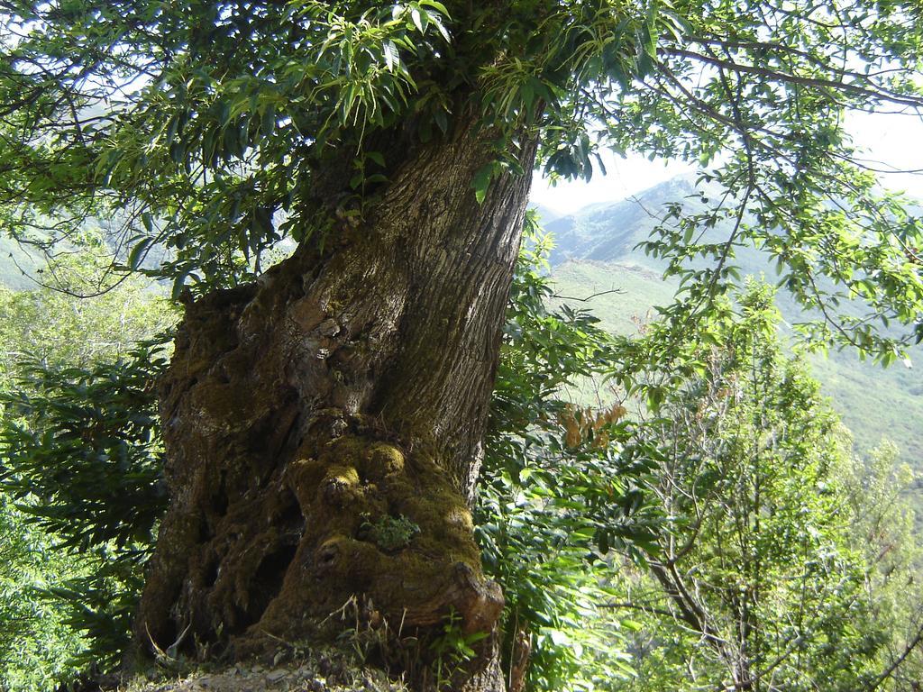 Vila Carriles Romanos Odollo Exteriér fotografie